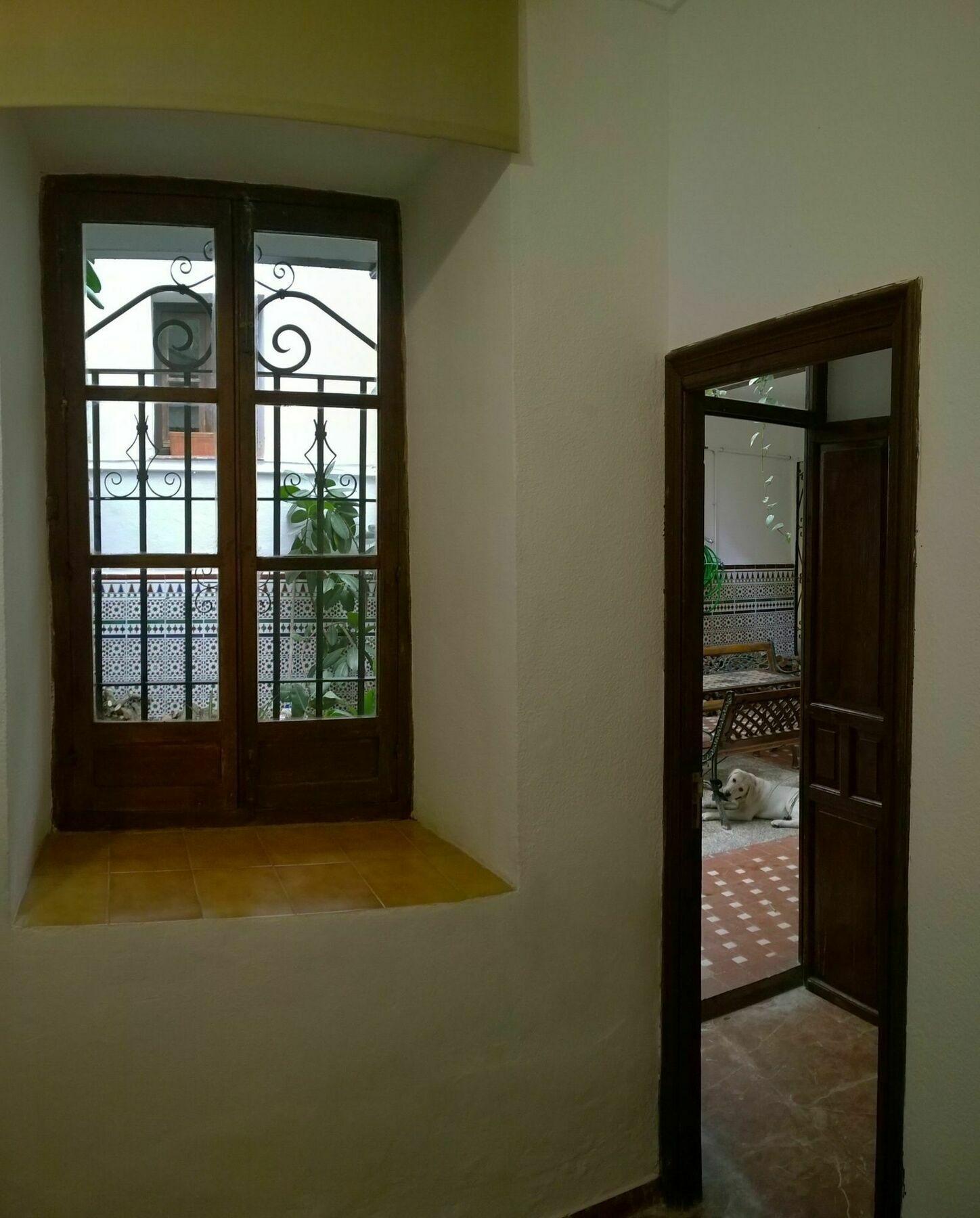 Отель Casa Patio De La Vega Кордова Экстерьер фото